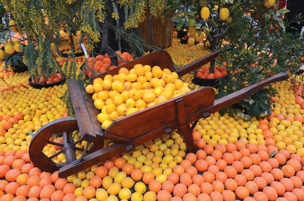 Фестиваль лимонов в Ментоне. Кулинарные праздники